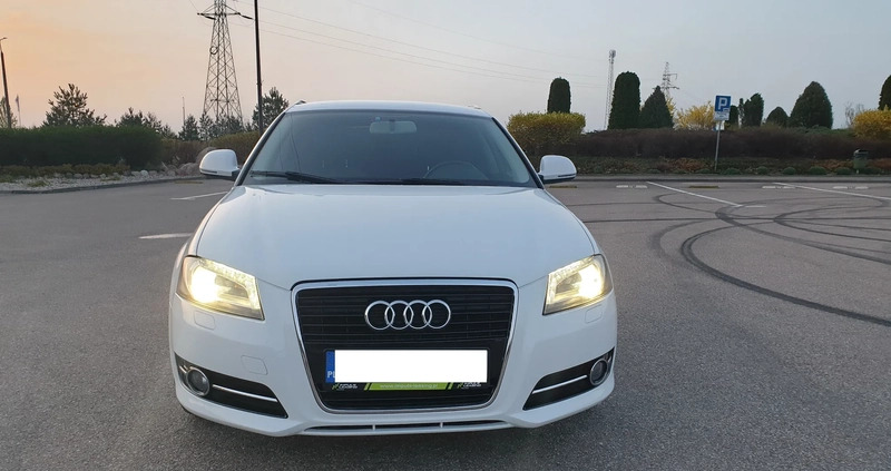 Audi A3 cena 29600 przebieg: 212411, rok produkcji 2008 z Białystok małe 254